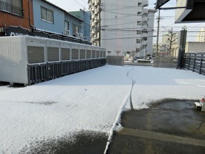 IMG_0121