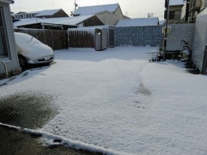 IMG_0123