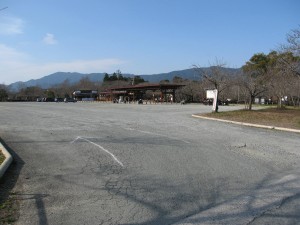 IMG_0508